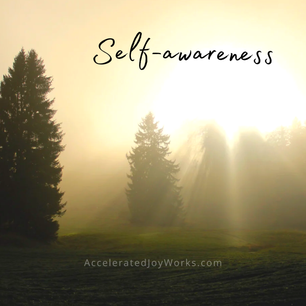 self awareness
communication